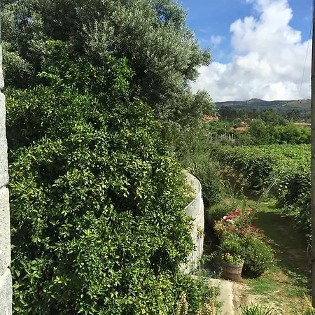 Casa Cimo De Vila ファフェ