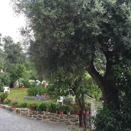 ゲストハウス Casa Cimo De Vila