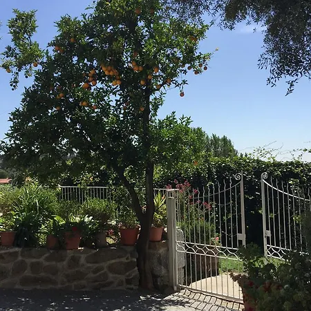 Casa Cimo De Vila * ファフェ
